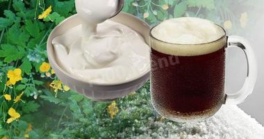 Рецепт Кваса из чистотела