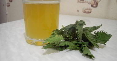 Рецепт Кваса из крапивы