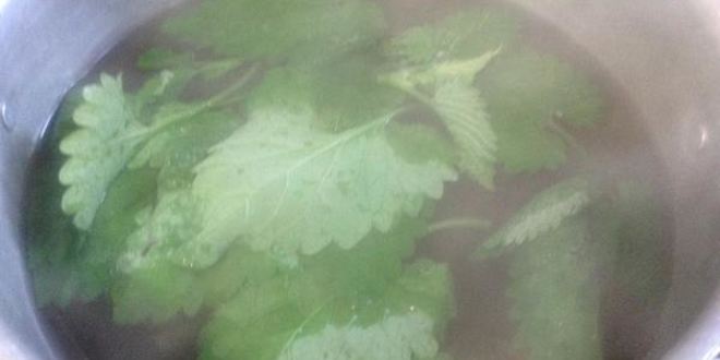 Рецепт кваса из ревеня