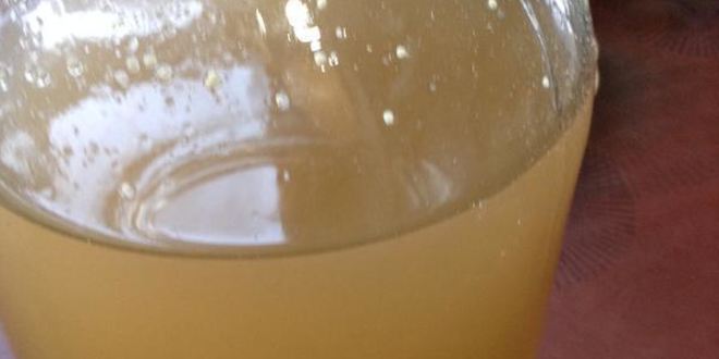 Рецепт кваса из ревеня