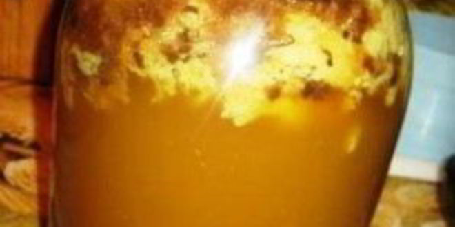 Рецепт кваса из сусла