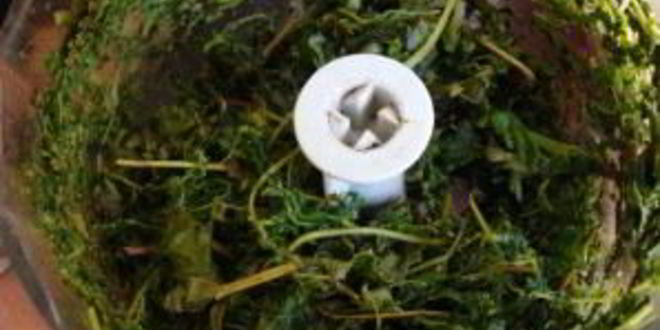 Рецепт кваса из виноградных листьев