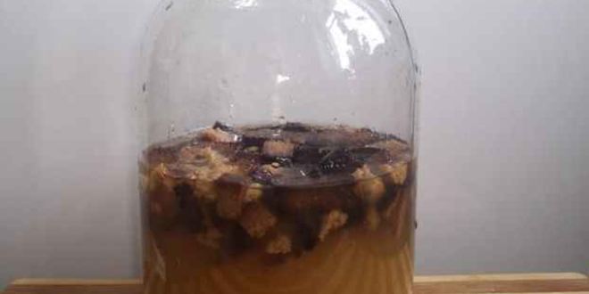 Рецепт кваса на хлебе