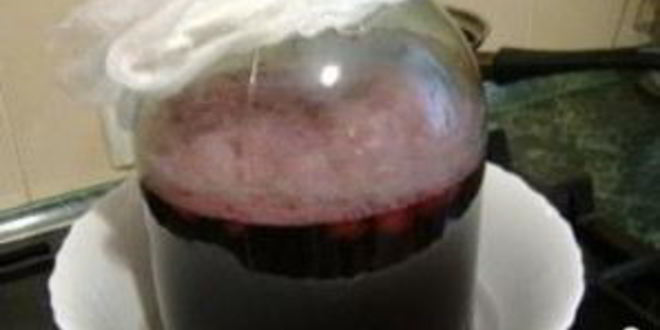 Рецепт кваса вишневого