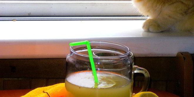 Рецепт медового кваса