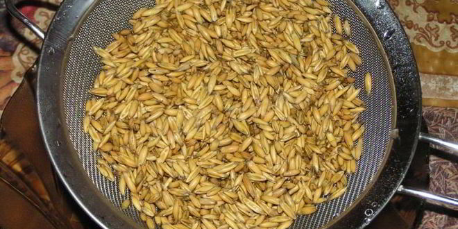 Рецепт овсяного кваса с изюмом