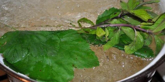 Рецепт смородинового кваса