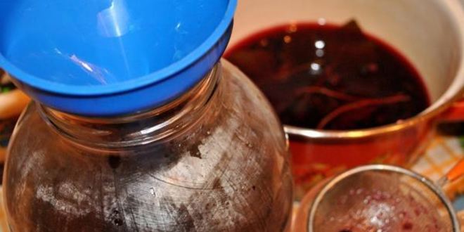 Рецепт смородинового кваса