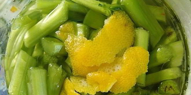 Рецепт ликера из ревеня