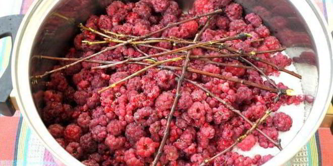 Рецепт малинового ликера