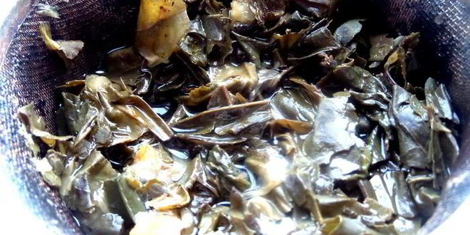 Рецепт лимонада из зеленого чая