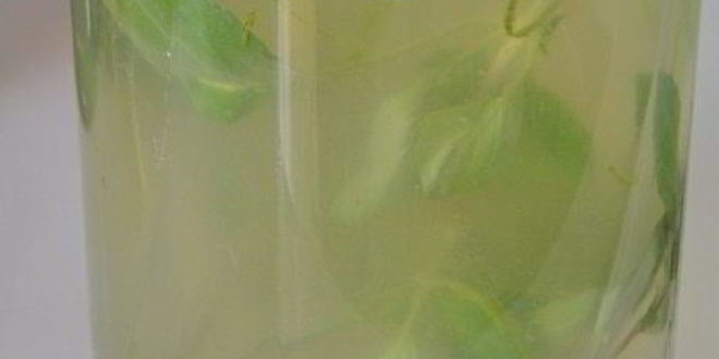 Рецепт лимонада с базиликом и душистым перцем