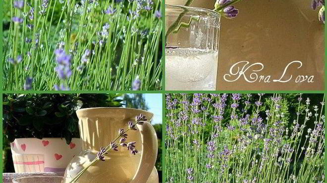 Рецепт лимонада с лавандой