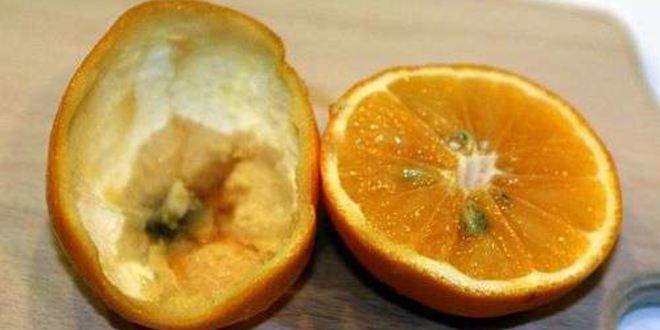 Рецепт лимонада