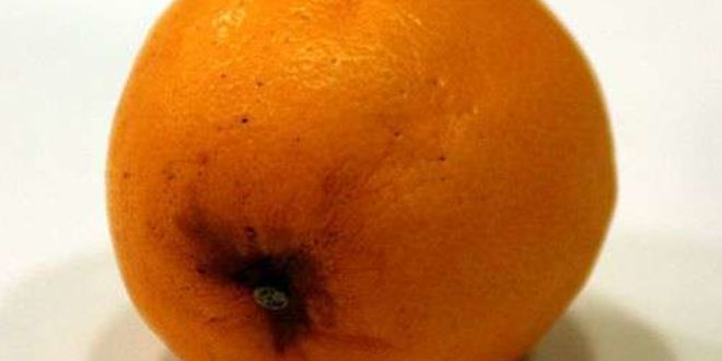 Рецепт лимонада