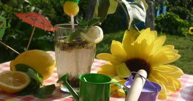 Рецепт Дачного Мохито