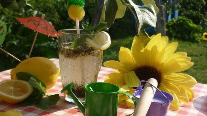 Рецепт дачного мохито