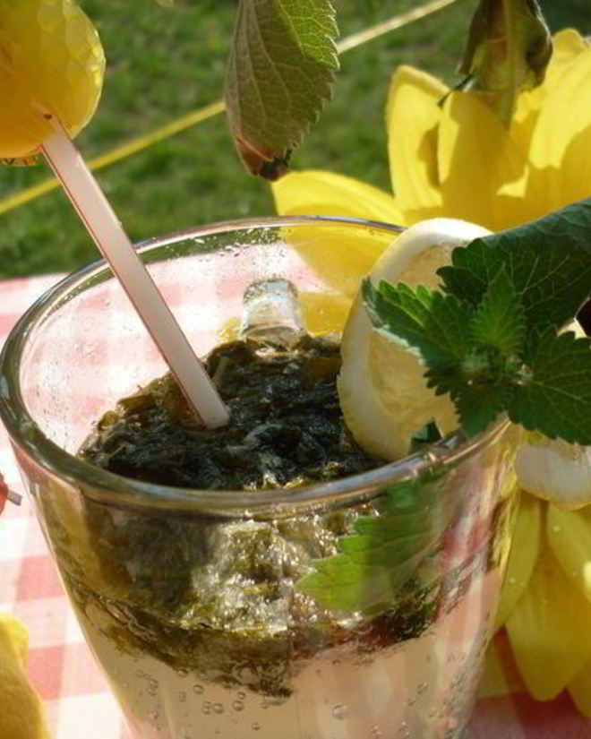 Рецепт дачного мохито