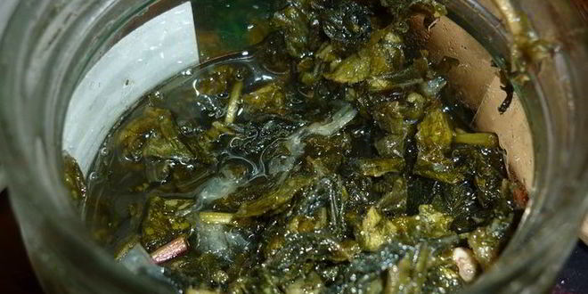 Рецепт дачного мохито