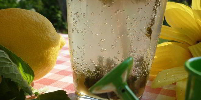 Рецепт дачного мохито