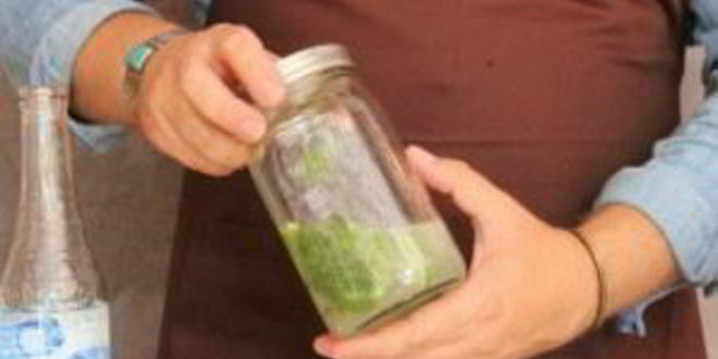 Рецепт мохито с бакарди