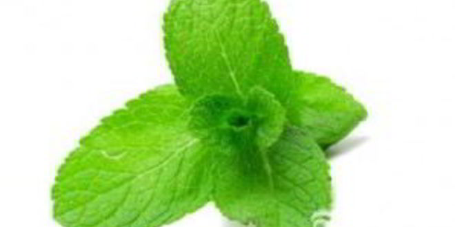 Рецепт тыквенного мохито