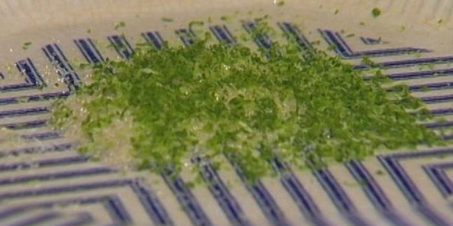 Рецепт молочного коктейля с манго