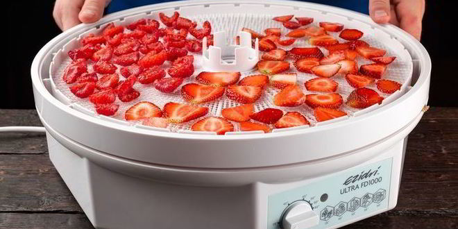 Рецепт молочного коктейля с сушеными ягодами