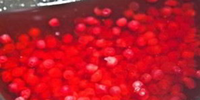 Рецепт брусничного морса с медом