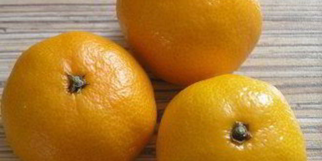 Рецепт клюквенно-мандаринового морс