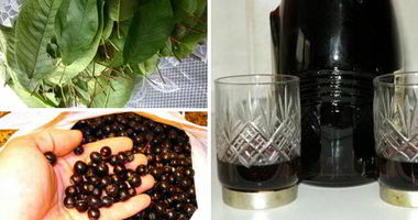 Рецепт Наливки 100 листьев