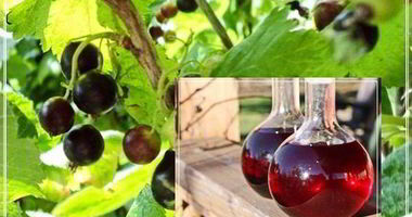 Рецепт Наливки черносмородиновой