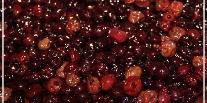 Рецепт наливки черносмородиновой