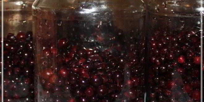 Рецепт наливки черносмородиновой