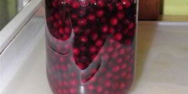 Рецепт наливки из черноплодки