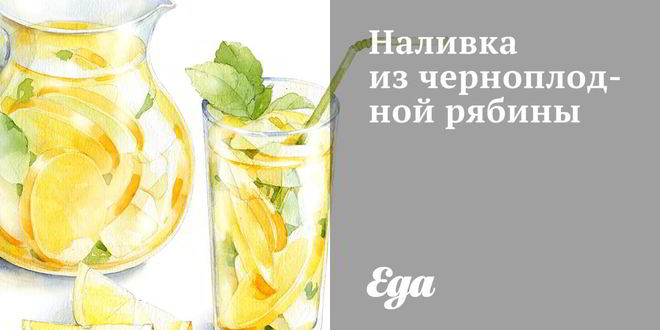 Рецепт Наливки из черноплодной рябины