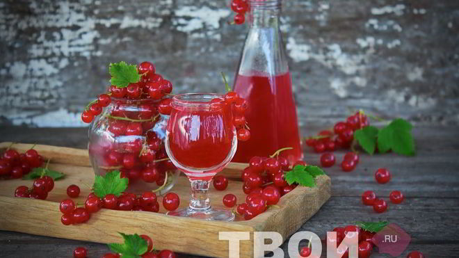 Рецепт наливки из красной смородины