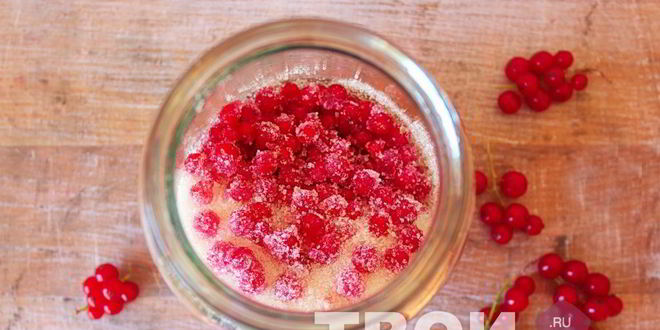 Рецепт наливки из красной смородины