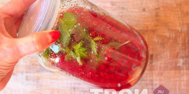 Рецепт наливки из красной смородины