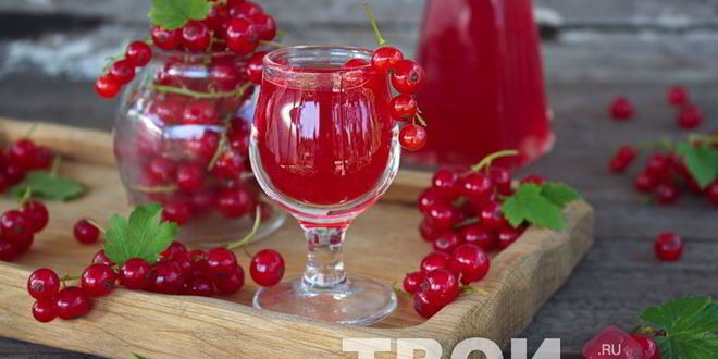 Рецепт наливки из красной смородины