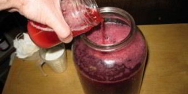 Рецепт наливки из крыжовника и черной смородины