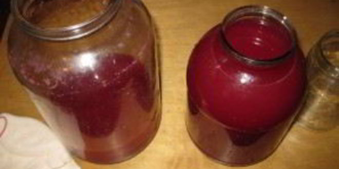 Рецепт наливки из крыжовника и черной смородины