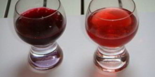 Рецепт наливки из крыжовника и черной смородины