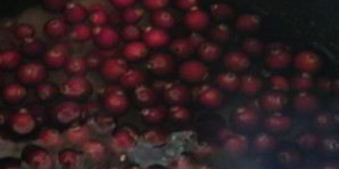 Рецепт наливки в мультиварке