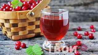 Рецепт Наливки