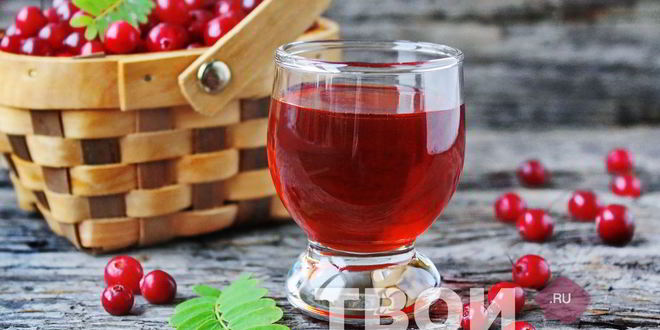 Рецепт наливки