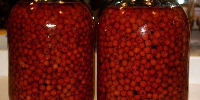 Рецепт рябиновой наливки