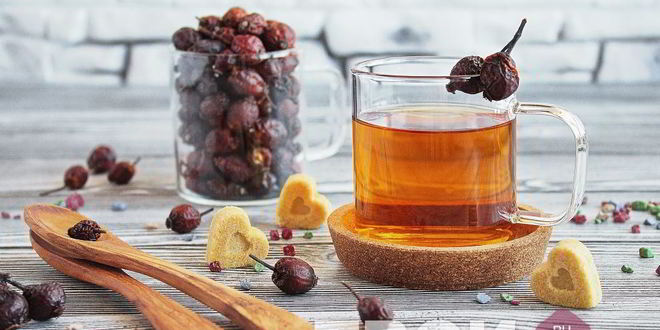 Рецепт напитка из шиповника