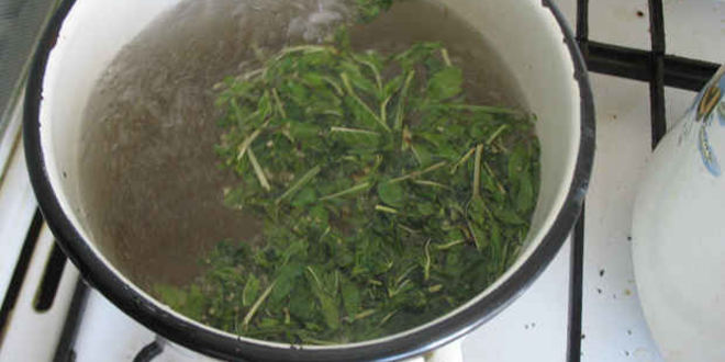 Рецепт напитка мятного