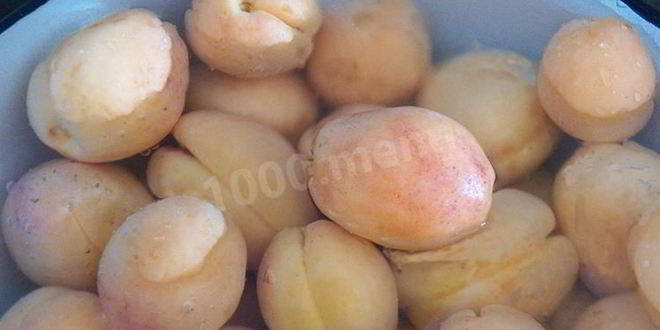 Рецепт абрикосовой настойки